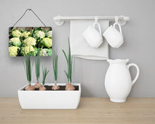Load image into Gallery viewer, Cauliflower by Gary Kwiatek Wall or Door Hanging Prints