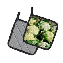 Load image into Gallery viewer, Cauliflower by Gary Kwiatek Pot Holders - Set of 2 Decorative Kitchen Helpers | Made in the USA