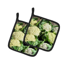 Load image into Gallery viewer, Cauliflower by Gary Kwiatek Pot Holders - Set of 2 Decorative Kitchen Helpers | Made in the USA