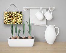 Load image into Gallery viewer, Onions by Gary Kwiatek Wall or Door Hanging Prints