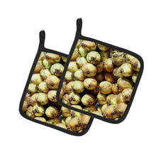 Load image into Gallery viewer, Onions by Gary Kwiatek Pot Holders - Set of 2 Decorative Kitchen Helpers | Made in the USA