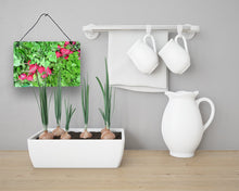 Load image into Gallery viewer, Raddish by Gary Kwiatek Wall or Door Hanging Prints