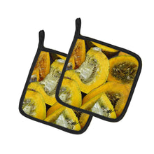 Load image into Gallery viewer, Squash by Gary Kwiatek Pot Holders - Set of 2 Decorative Kitchen Helpers | Made in the USA