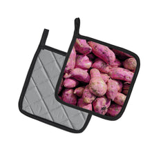 Load image into Gallery viewer, Sweet Potatoe by Gary Kwiatek Pot Holders - Set of 2 Decorative Kitchen Helpers | Made in the USA