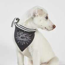 Load image into Gallery viewer, Got Treats Black Pet Bandana  | 9" W x 6" H