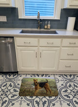 Load image into Gallery viewer, Airedale Terrier The Kings Country Machine Washable Memory Foam Mat HMHE0245RUG