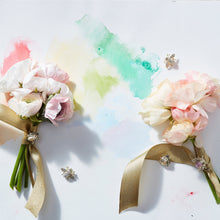 Load image into Gallery viewer, Mini bug clip set, pastel