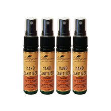 Load image into Gallery viewer, Hand Sanitizer (4 Pack) 1oz