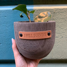 Load image into Gallery viewer, I Will Survive Paulownia Wood Planter | 5" Tall