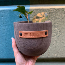 Load image into Gallery viewer, I Will Survive Paulownia Wood Planter | 5" Tall