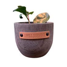 Load image into Gallery viewer, I Will Survive Paulownia Wood Planter | 5" Tall