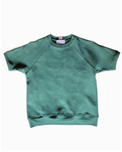 Load image into Gallery viewer, Vintage Raglan Short Sleeve Shirt