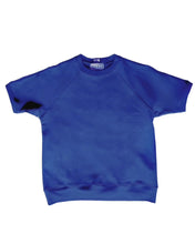 Load image into Gallery viewer, Vintage Raglan Short Sleeve Shirt