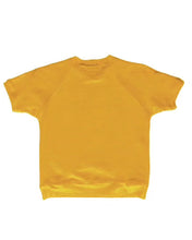 Load image into Gallery viewer, Vintage Raglan Short Sleeve Shirt
