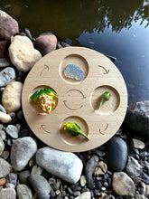 Load image into Gallery viewer, Double-Sided Wooden Life Cycle Board