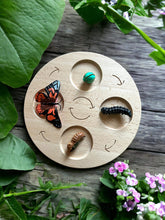 Load image into Gallery viewer, Double-Sided Wooden Life Cycle Board
