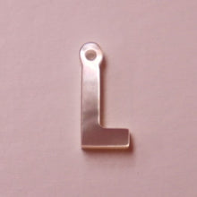 Load image into Gallery viewer, Gold Charms Cont. &amp; Shells, Beaded Charms