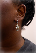Load image into Gallery viewer, Fighting Dragons With You - Titanium Charm Earrings
