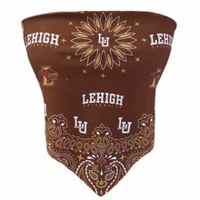Load image into Gallery viewer, Lehigh Bandana Top