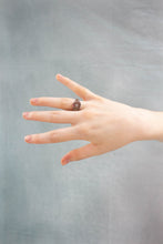 Load image into Gallery viewer, Shimmering Star Titanium Rings