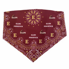 Load image into Gallery viewer, Elon Bandana Top