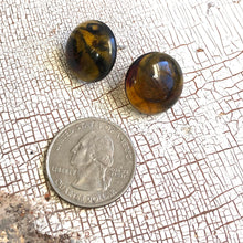 Load image into Gallery viewer, Tortoise Brown Marbled Retro Button Stud Earrings