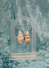 Load image into Gallery viewer, Cinerea Shell Earrings