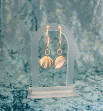 Load image into Gallery viewer, Arca Shell Earrings