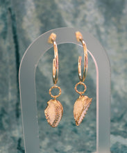Load image into Gallery viewer, Arca Shell Earrings
