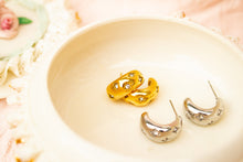 Load image into Gallery viewer, Sparkly Titanium Hoop Earrings