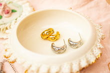 Load image into Gallery viewer, Sparkly Titanium Hoop Earrings