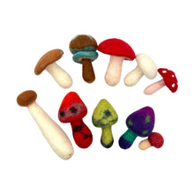 Load image into Gallery viewer, **Pre-order (Ships in 2-3 Weeks)**Handmade in Nepal 100% Wool Felt Foods Play Set for Pretend Cooking and Farmer's Market Play
