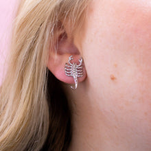 Load image into Gallery viewer, Titanium Scorpion Stud Earrings