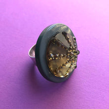 Load image into Gallery viewer, Grey Sparkle Sand Dollar Silver Cocktail Ring