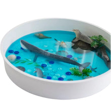Load image into Gallery viewer, Sensory Play Tray with Removable Compartments and Lid
