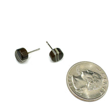 Load image into Gallery viewer, Black and Tan Stripe Cane Slice Stud Earrings