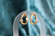 Load image into Gallery viewer, Extra Special-Titanium Earrings