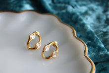 Load image into Gallery viewer, Extra Special-Titanium Earrings