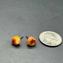 Load image into Gallery viewer, Cinnamon Beige Stripe Cane Slice Stud Earrings