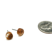 Load image into Gallery viewer, Cinnamon Beige Stripe Cane Slice Stud Earrings