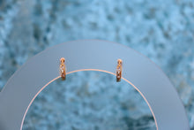 Load image into Gallery viewer, Making New Friends Hoop Earrings