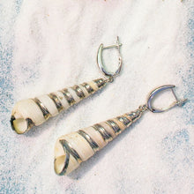 Load image into Gallery viewer, Turritella Shell Earrings