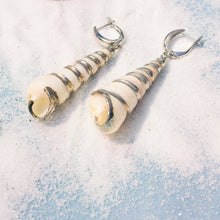 Load image into Gallery viewer, Turritella Shell Earrings