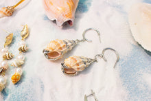 Load image into Gallery viewer, Cinerea Shell Earrings