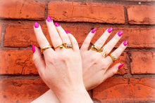 Load image into Gallery viewer, Split Butterfly Titanium Ring
