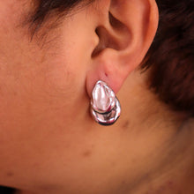 Load image into Gallery viewer, Titanium Double-Sided Petal Earrings