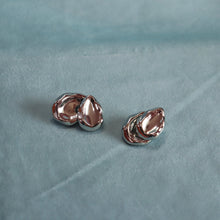 Load image into Gallery viewer, Titanium Double-Sided Petal Earrings
