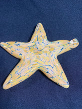 Load image into Gallery viewer, Aqua Sahara Starfish