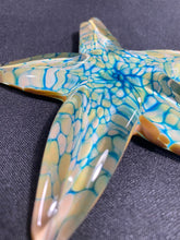 Load image into Gallery viewer, Aqua Sahara Starfish