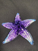 Load image into Gallery viewer, La Jolla Cove Starfish